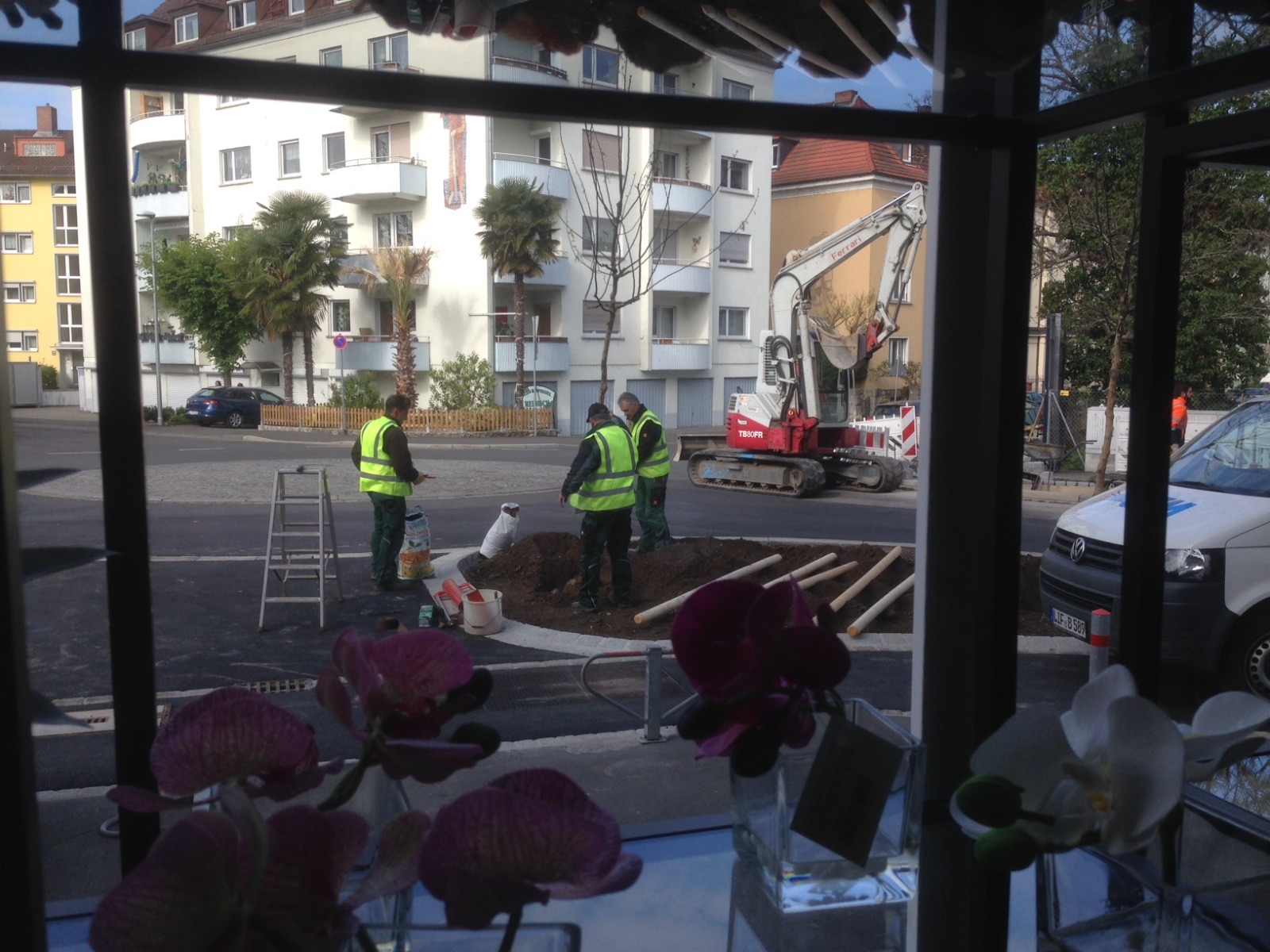 Kunstpflanzen Laden in Wrzburg  Mission Failed?