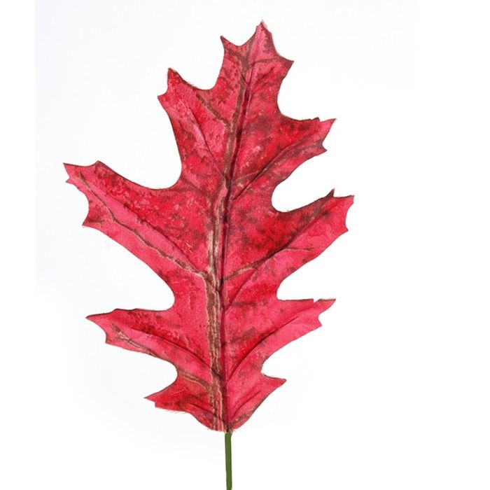 Herbstblätter ERVINA, rot