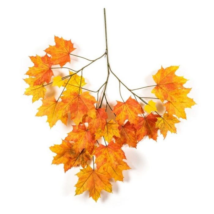 Autumn branch SILVO, orange-yellow